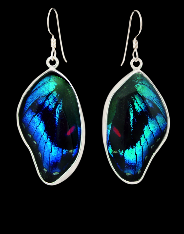 Blue Crystal Beaded Fabric Butterfly Wing Earrings